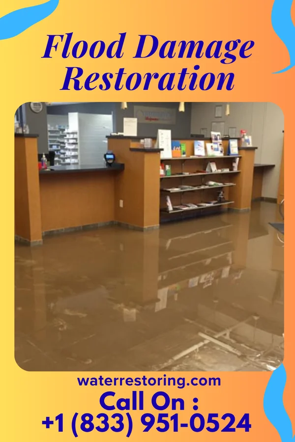 Flood Damage Restoration in Westcreek, CO